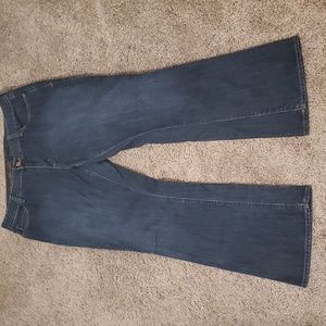 Eddie Bauer Curvy Dark Jeans - Short Length